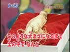 おはスタ