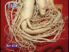 テレビ東京「おはスタ」