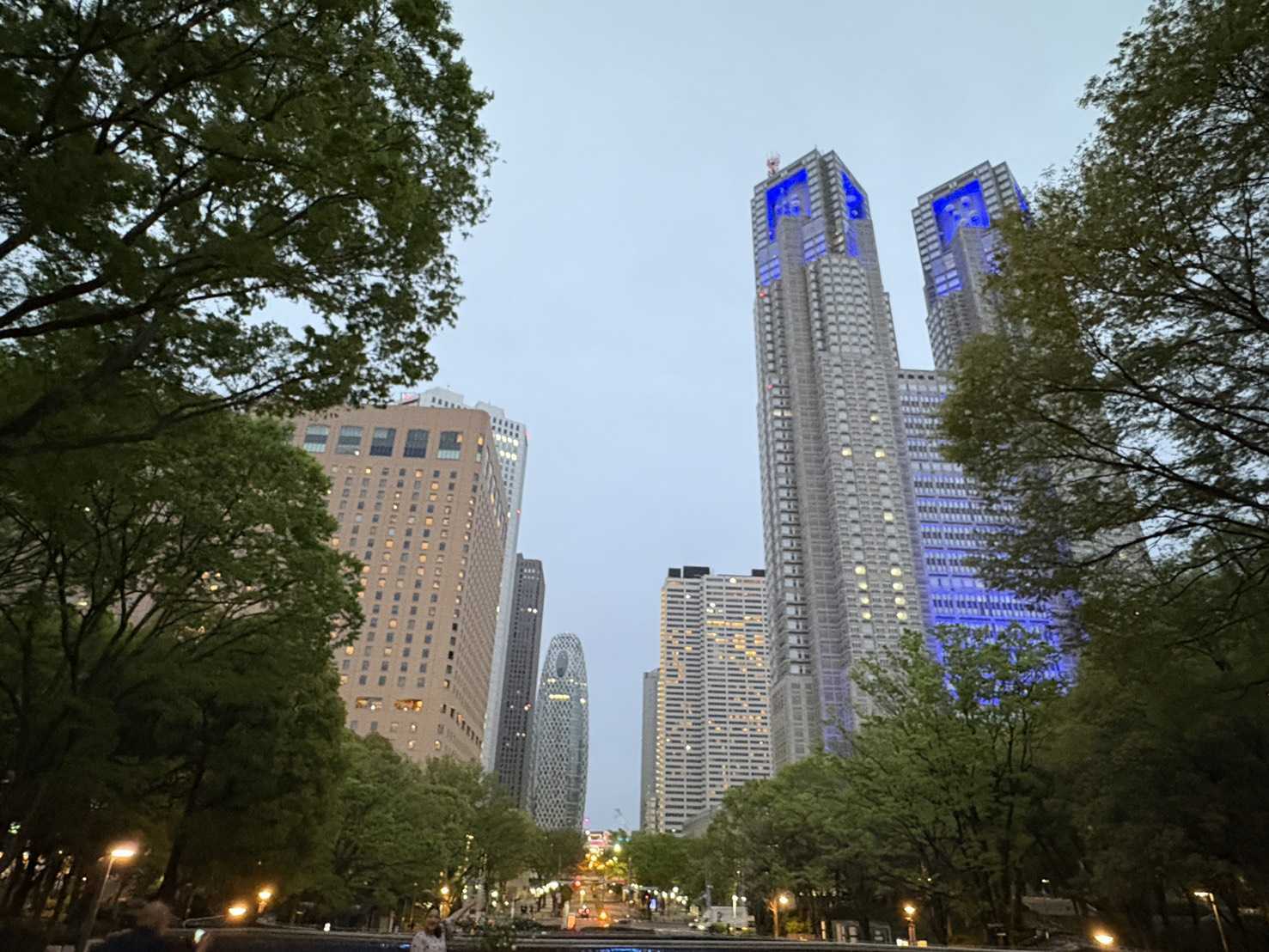 永仁堂 新宿西口店 - 夜景